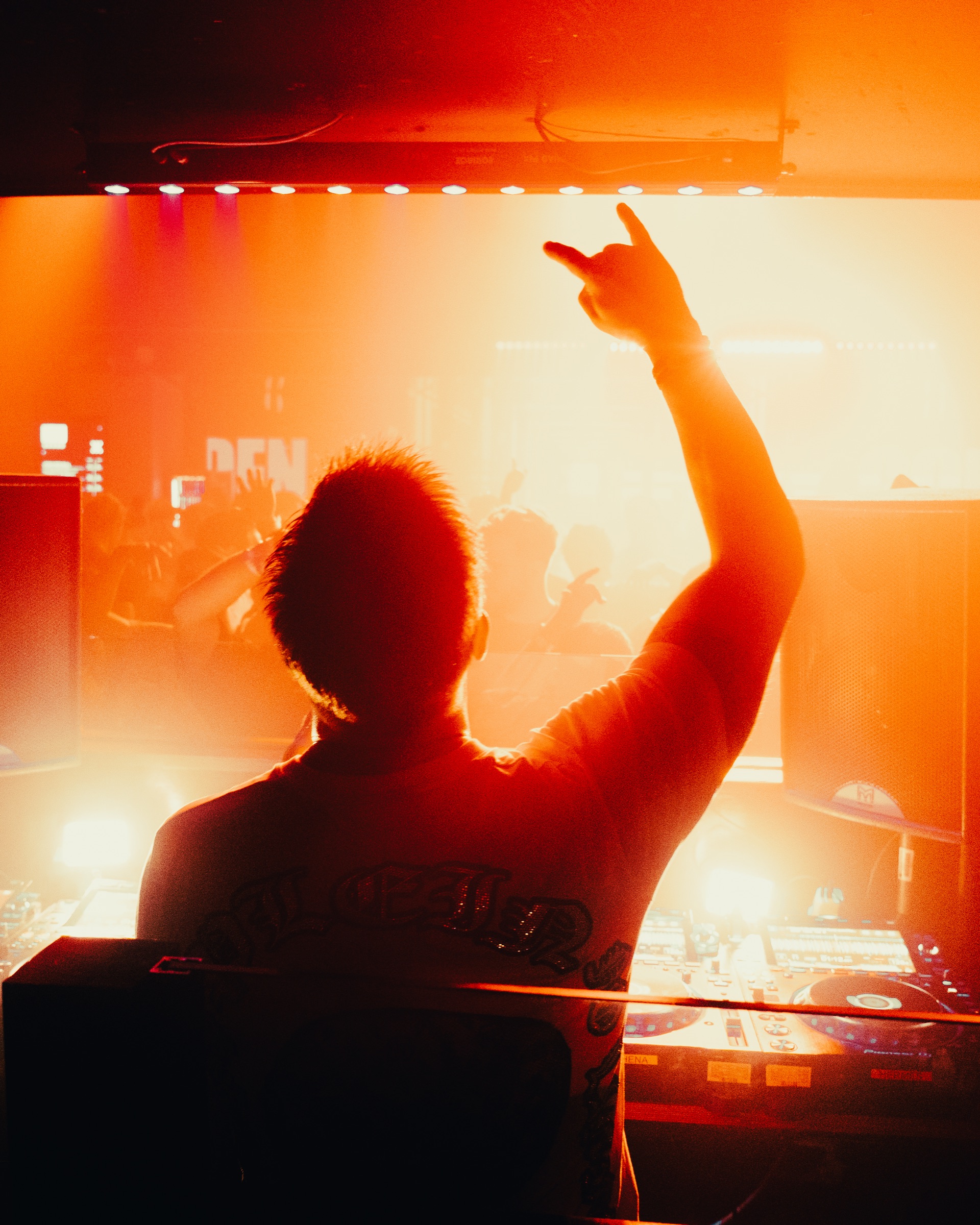 Crowd at a live event